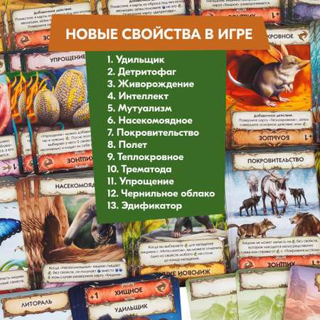 Настольная игра Правильные Игры