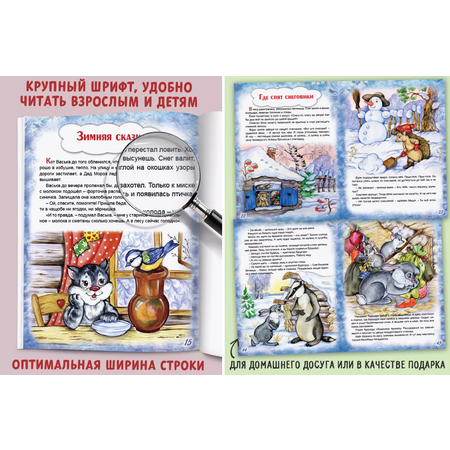 Книга Алтей Зимние сказки