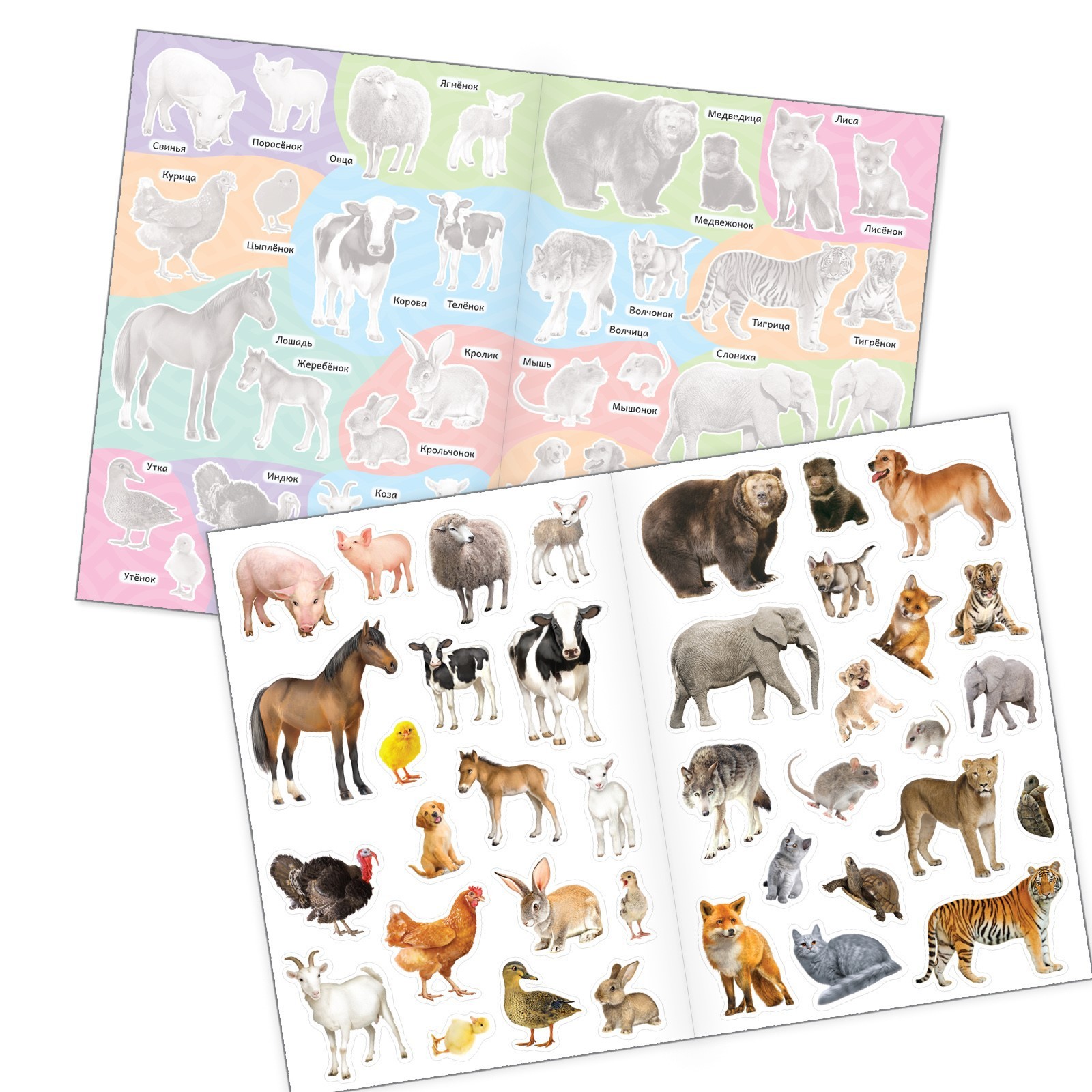 Книга Буква-ленд Познавательные наклейки Мамочки и детки - фото 2