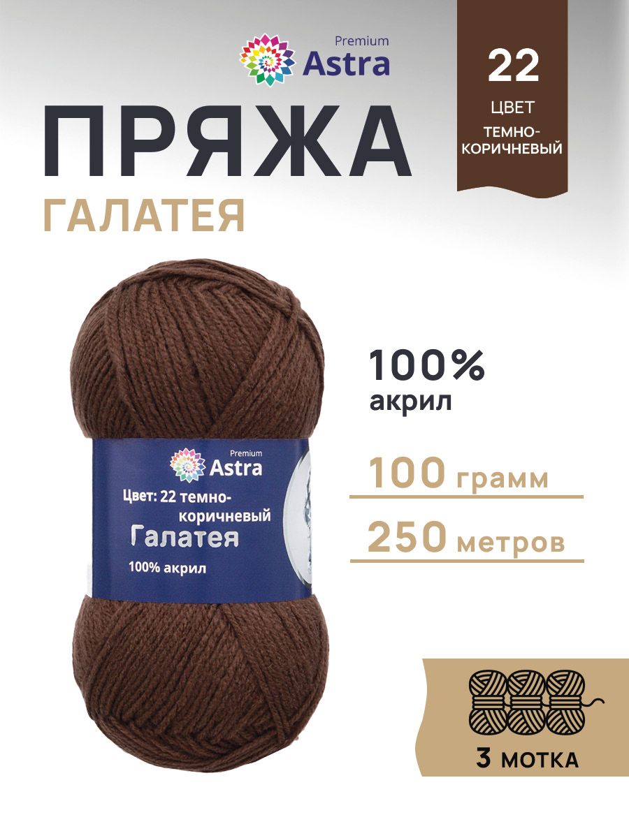 Пряжа Astra Premium Галатея акриловая 100 г 250 м 22 темно-коричневый 3 мотка - фото 1