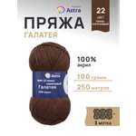 Пряжа Astra Premium Галатея акриловая 100 г 250 м 22 темно-коричневый 3 мотка