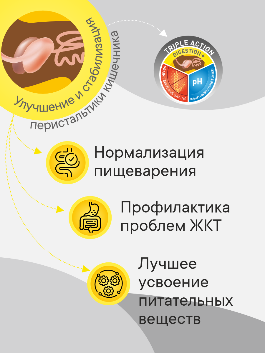 Корм сухой 1st Choice гипоаллергенный беззерновой для кошек на утке с картофелем 5.44кг - фото 3