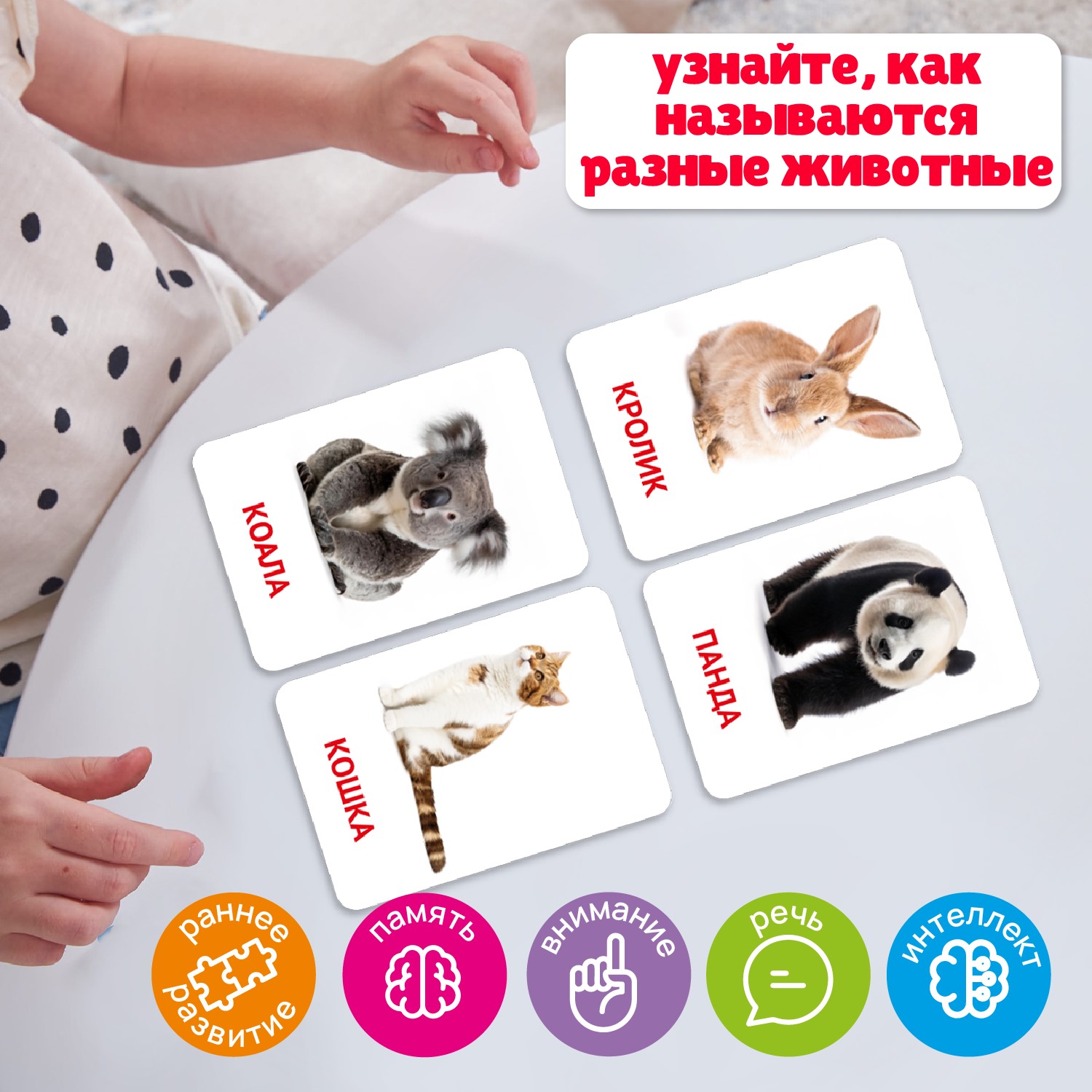 Карточки Attivio обучающие Животные 36 карточек - фото 5