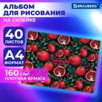 Альбом Brauberg А4