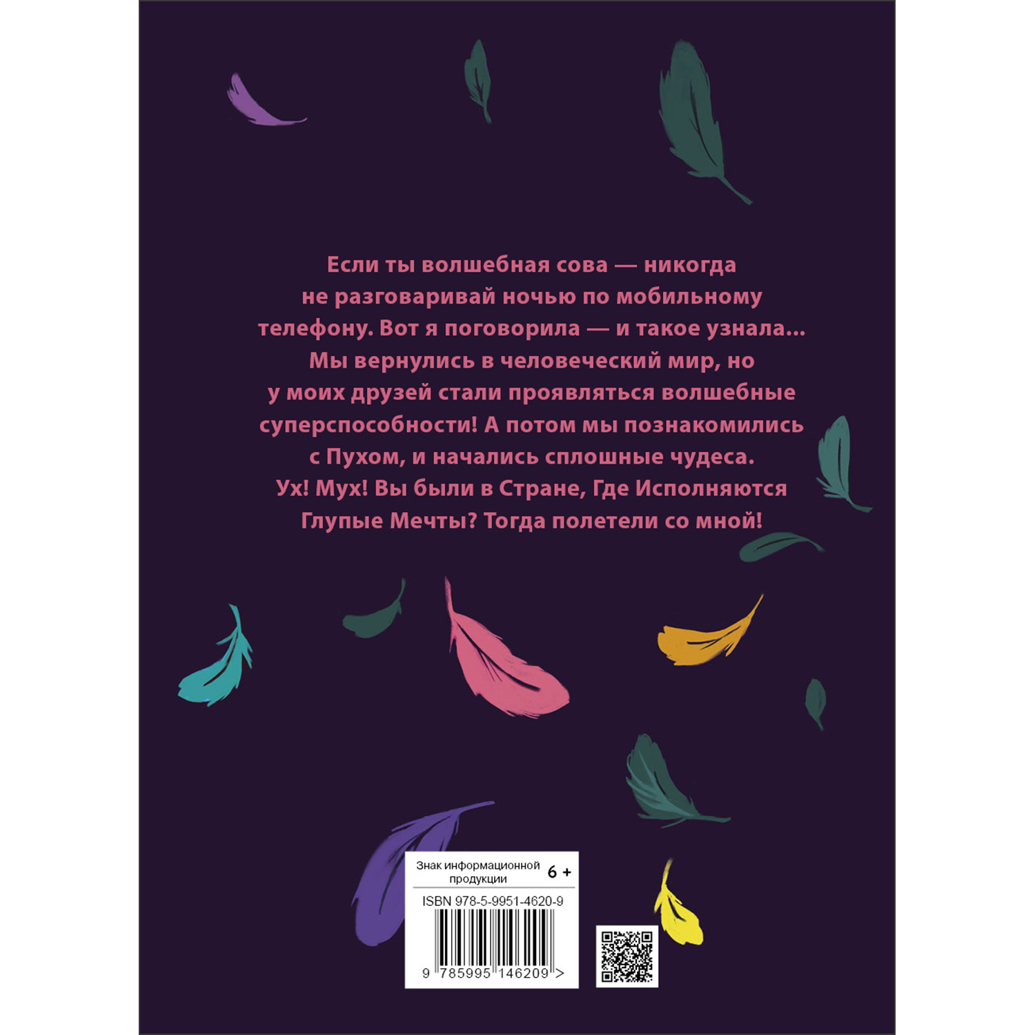 Книга Волшебная сова и К Паутина чудес - фото 6