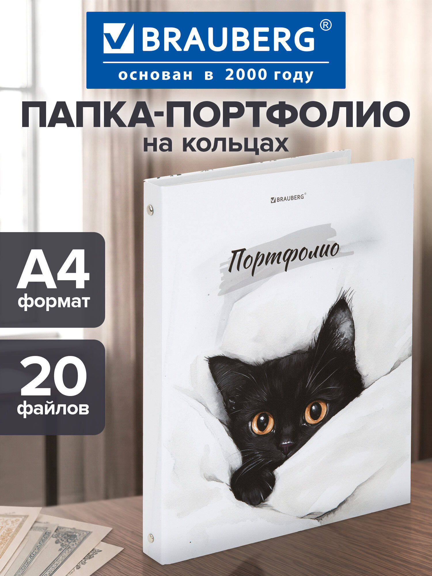 Изображение товара Папка-портфолио Brauberg А4 на кольцах 20 файлов для школьника и дошкольника Изображение товара Папка-портфолио Brauberg А4 на кольцах 20 файлов для школьника и дошкольника