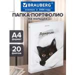 Портфолио школьника Brauberg папка А4 на кольцах 20 файлов для девочки и мальчика