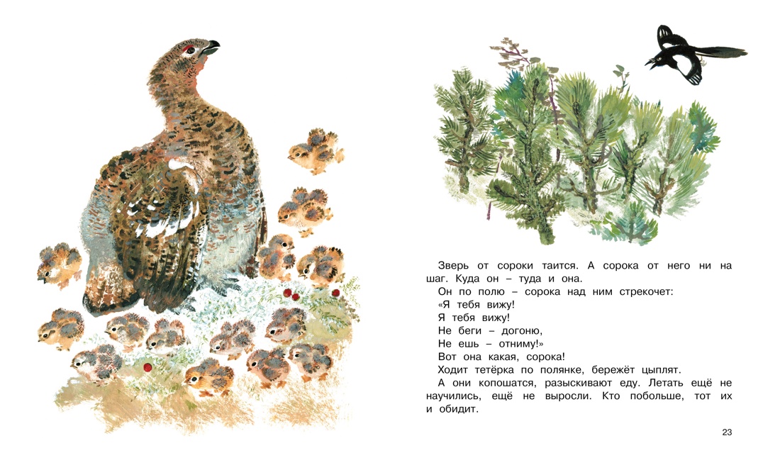 Книга Махаон Друзья. - фото 7
