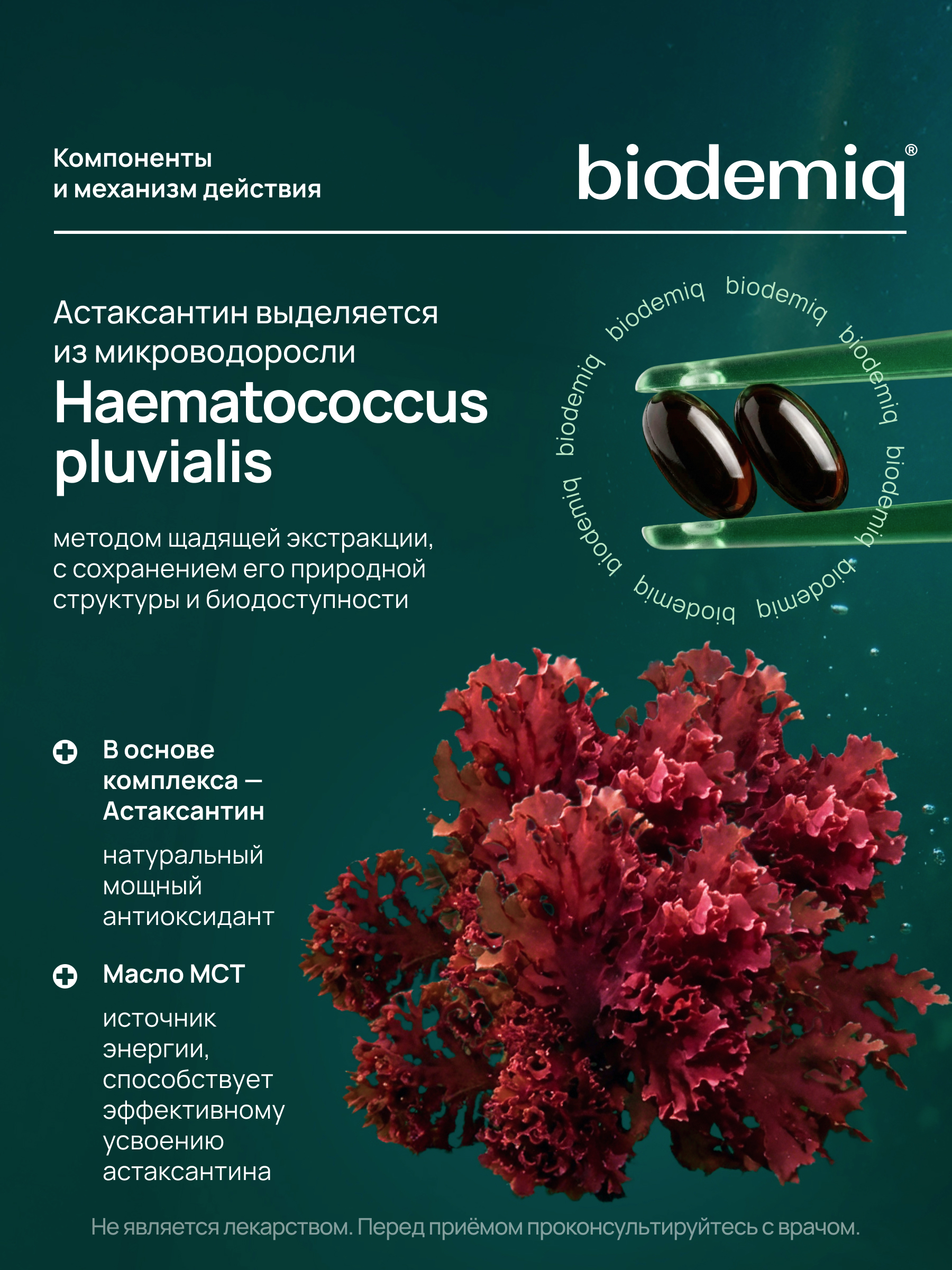 Астаксантин с МСТ biodemiq Антиоксидантная мощная защита - фото 2