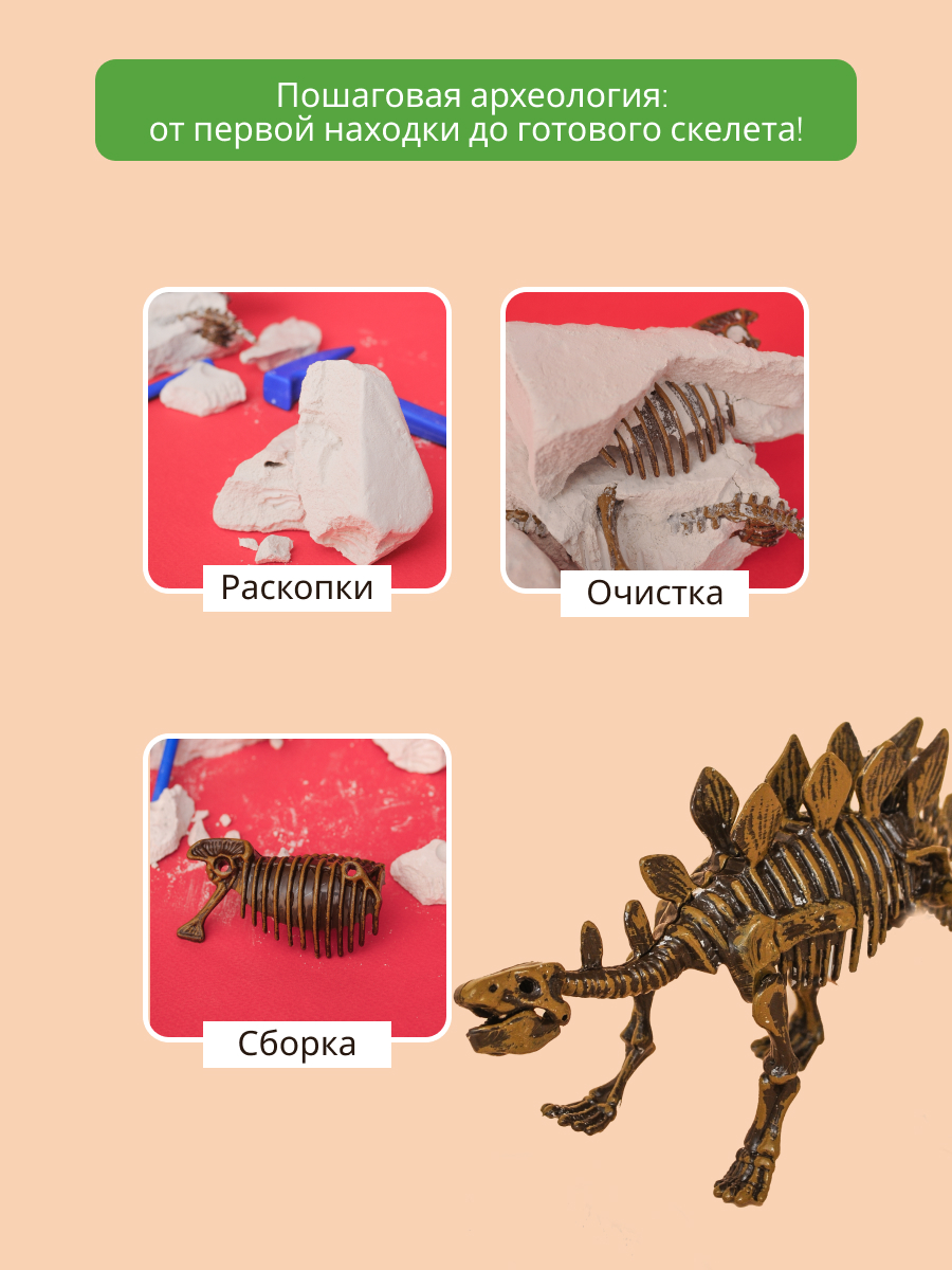 Набор для раскопок KONIK Science - фото 4