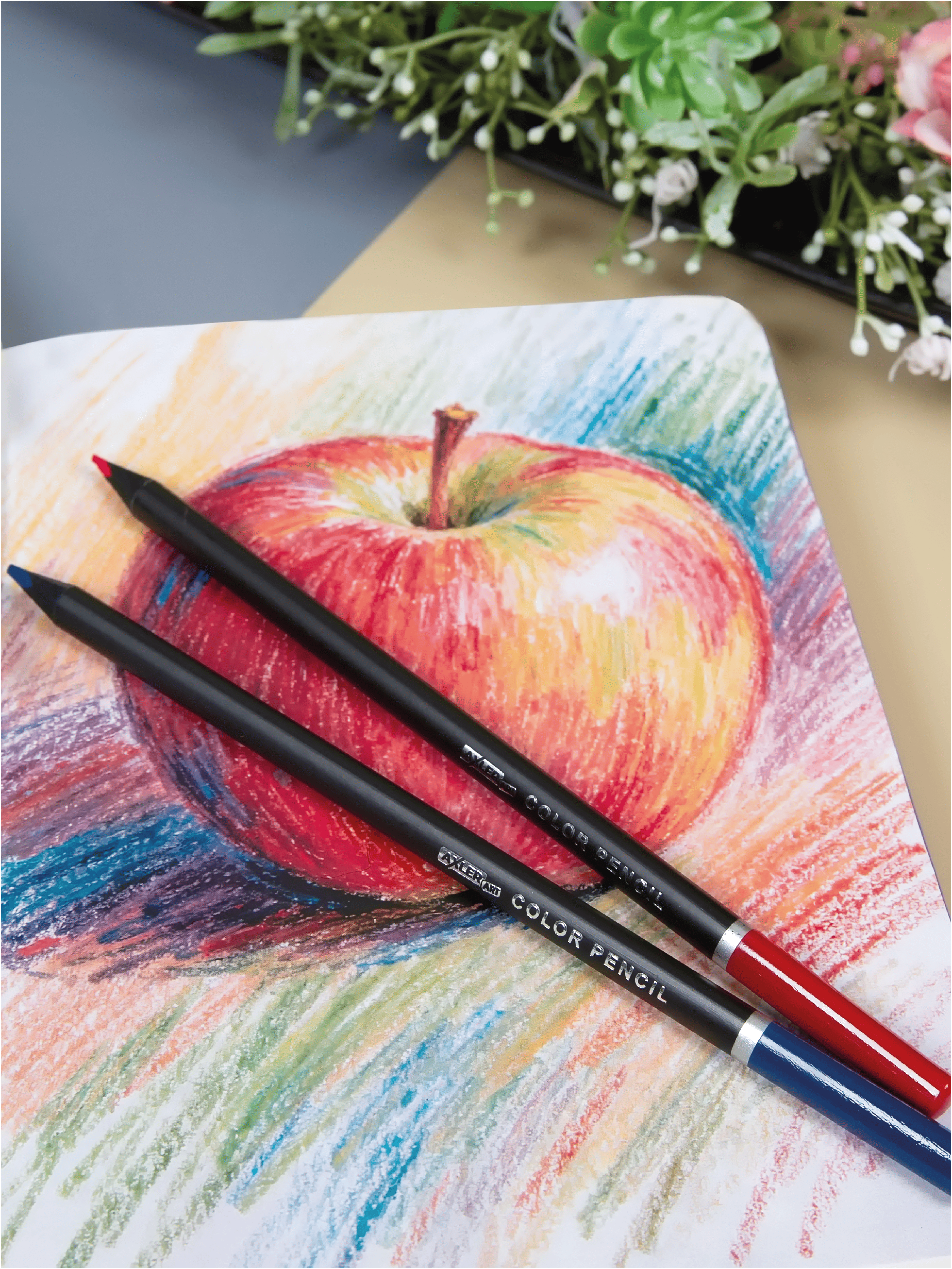 Карандаши цветные AXLER 36 шт. - фото 11