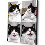 Картина по номерам Art sensation Кошачьи эмоции