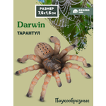 Фигурка DARWIN Паук Тарантул