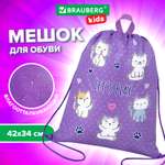 Мешок для обуви Brauberg