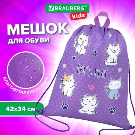 Мешок для обуви Brauberg