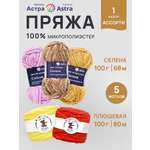 Пряжа для вязания Astra Premium 100г 80м 5шт