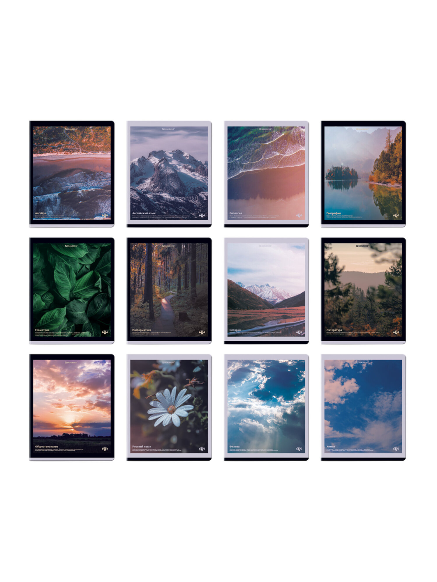 Тетрадь Brauberg 48 лист. 12 шт. - фото 6