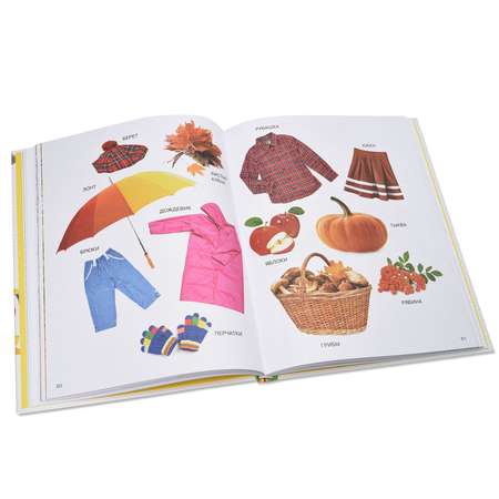 Энциклопедия малыша Росмэн Моя первая книга