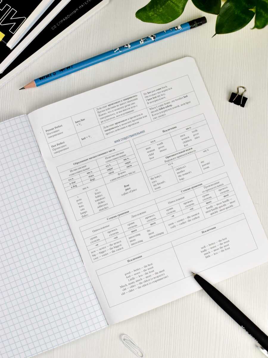 Тетрадь Феникс + 48 лист. 1 шт. (Английский язык) - фото 12