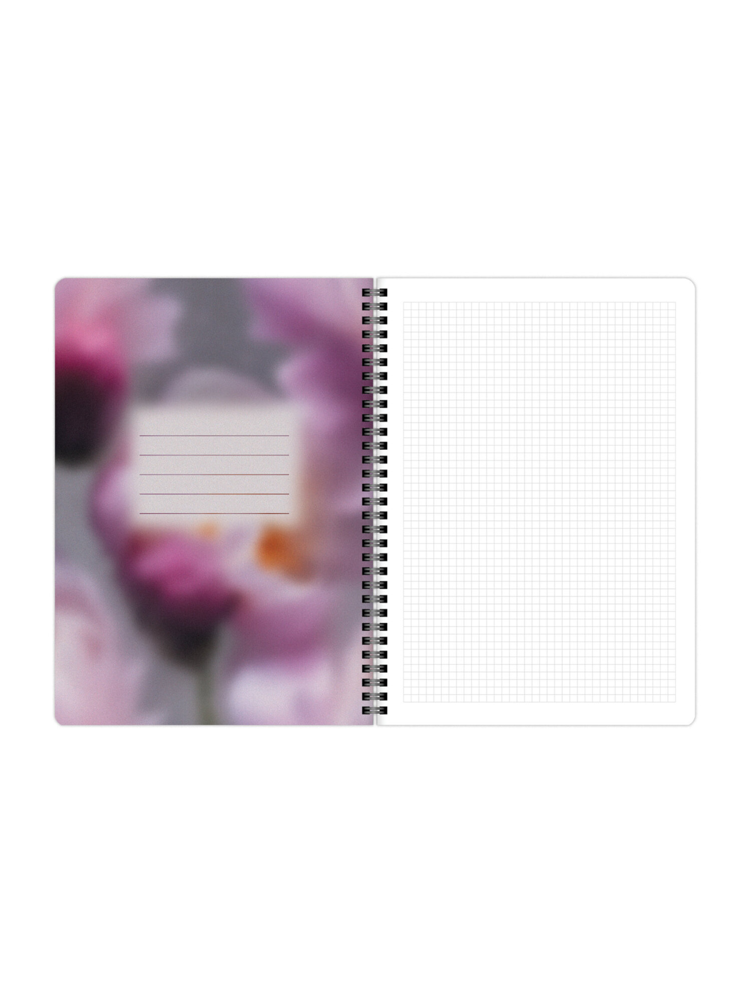 Общая тетрадь Brauberg клетка 96 лист. 2 шт. - фото 12