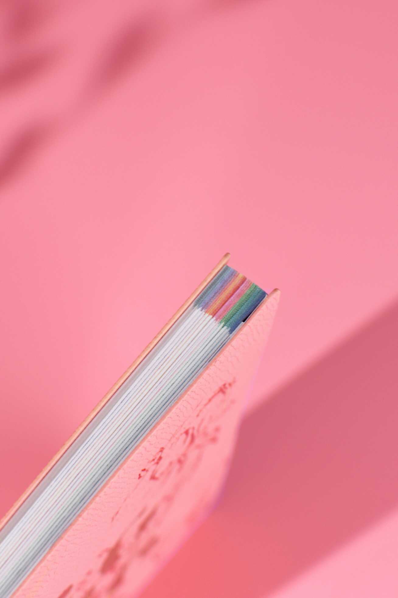 Ежедневник Феникс + ESCALADA 96 лист. - фото 16