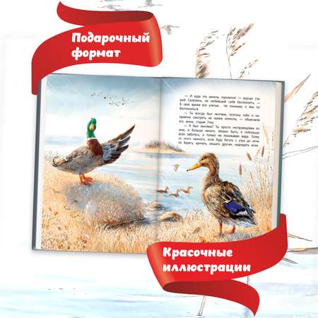 Книга Феникс Премьер Серая Шейка. Сказки с картинками