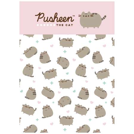 Записная книжка Pusheen 80 лист. в ассортименте
