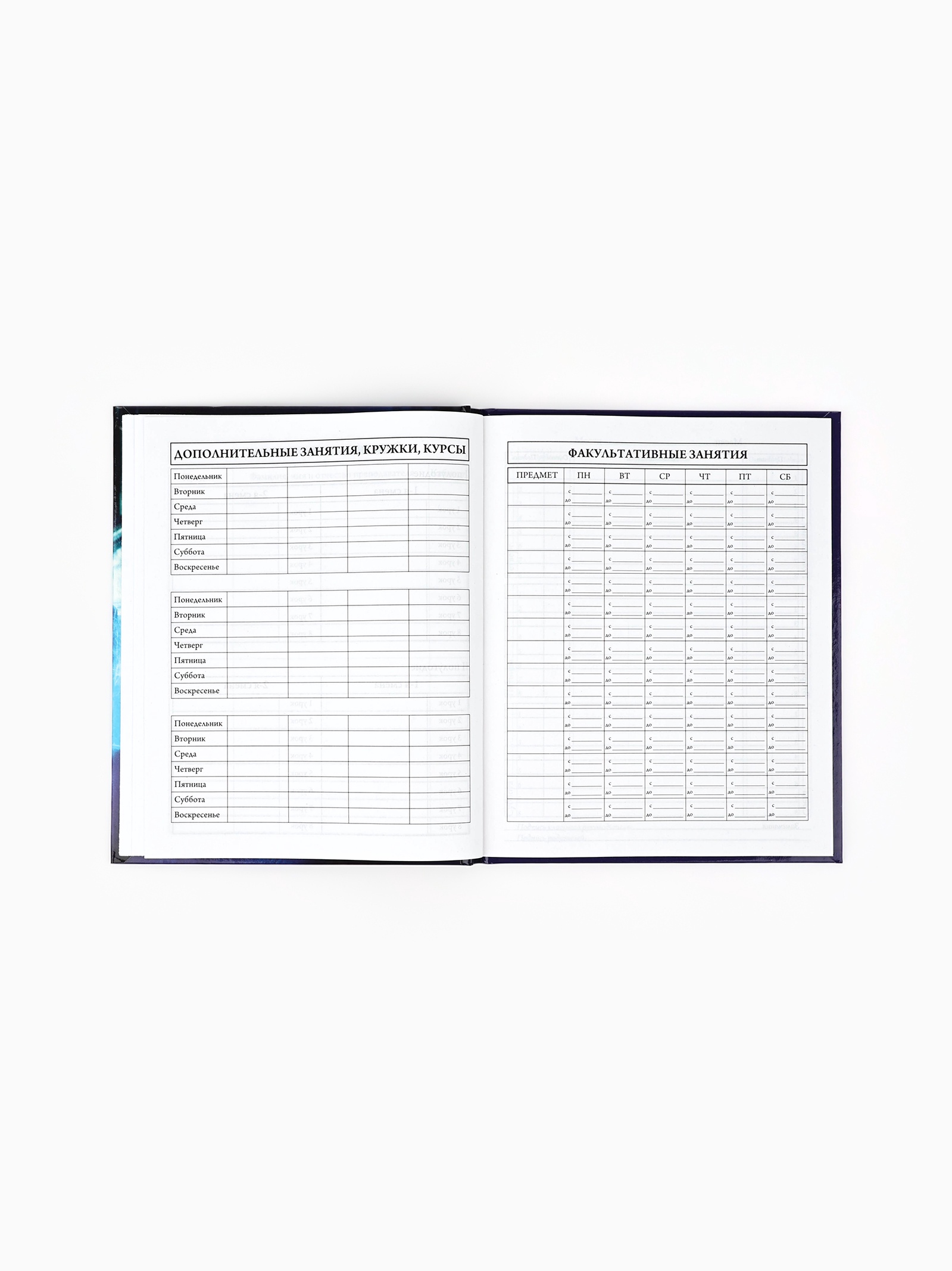 Дневник ArtFox STUDY школьный для 1-4 класса - фото 4