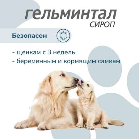 Сироп для собак Гельминтал от 10кг от внутренних паразитов 10мл