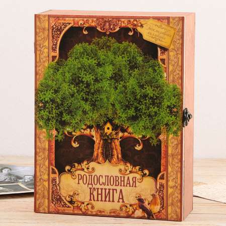 Родословная книга в шкатулке Sima-Land «Древо жизни» 56 листов 20 х 26 см