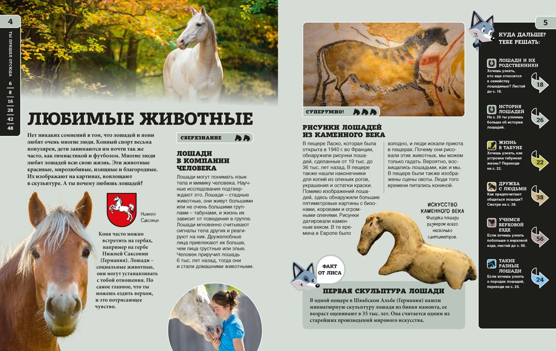 Книга Махаон ЭдЛ Браун Гудрун Лошади - фото 10