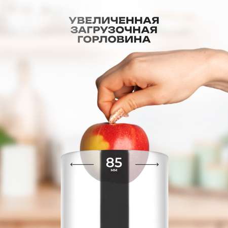 Соковыжималка CENTEK CT-1214 черный сталь 1500Вт