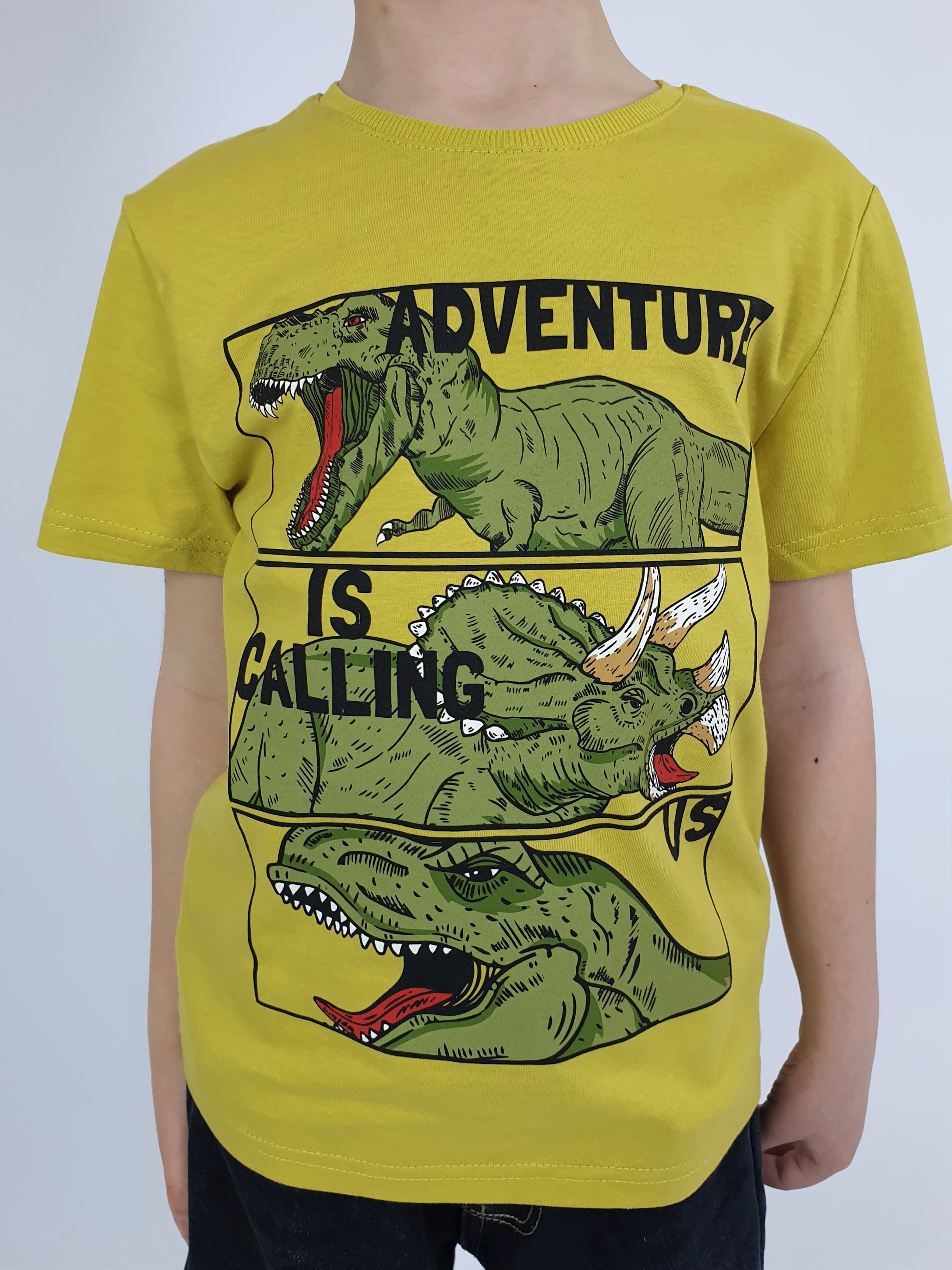 Футболка Luneva 5-146-2. - фото 4