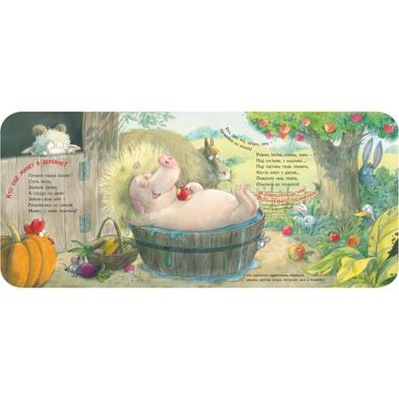 Книга ЭНАС-книга Деревенский детектив