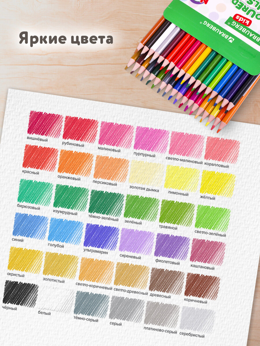 Карандаши цветные Brauberg 36 шт. - фото 4