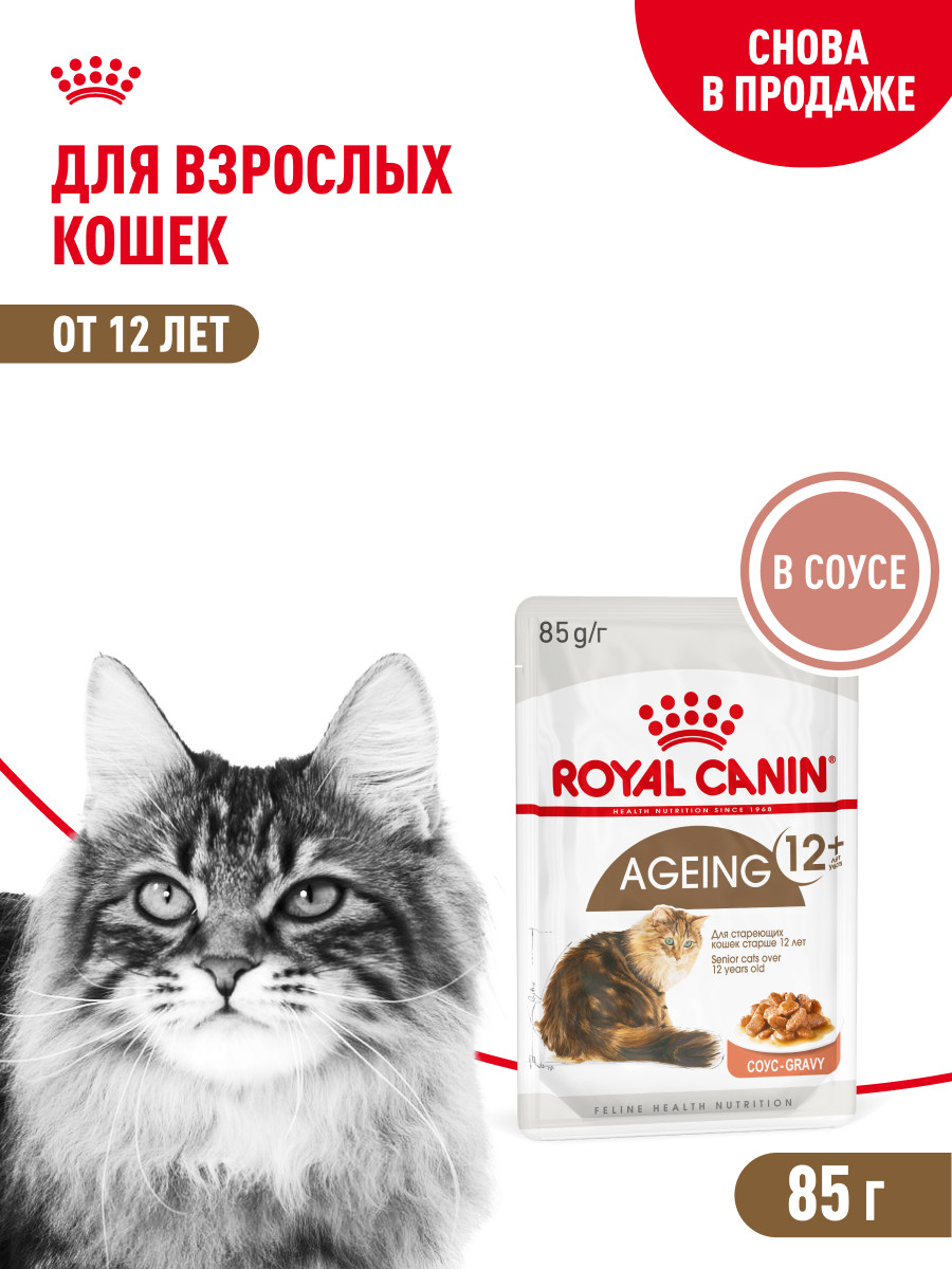 Корм для кошек ROYAL CANIN Ageing 85гр для пожилых 12+ желе пауч - фото 1