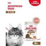 Корм для кошек ROYAL CANIN Ageing 85гр для пожилых 12+ желе пауч
