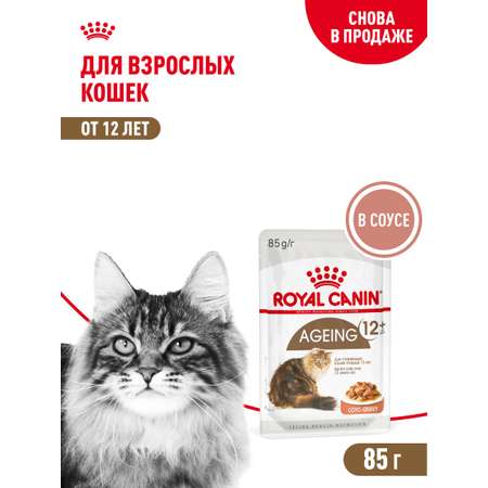 Корм для кошек ROYAL CANIN Ageing 85гр для пожилых 12+ желе пауч
