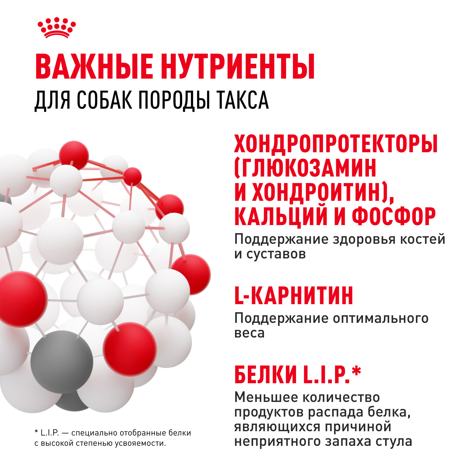 Корм для собак ROYAL CANIN породы такса 7.5кг - фото 5