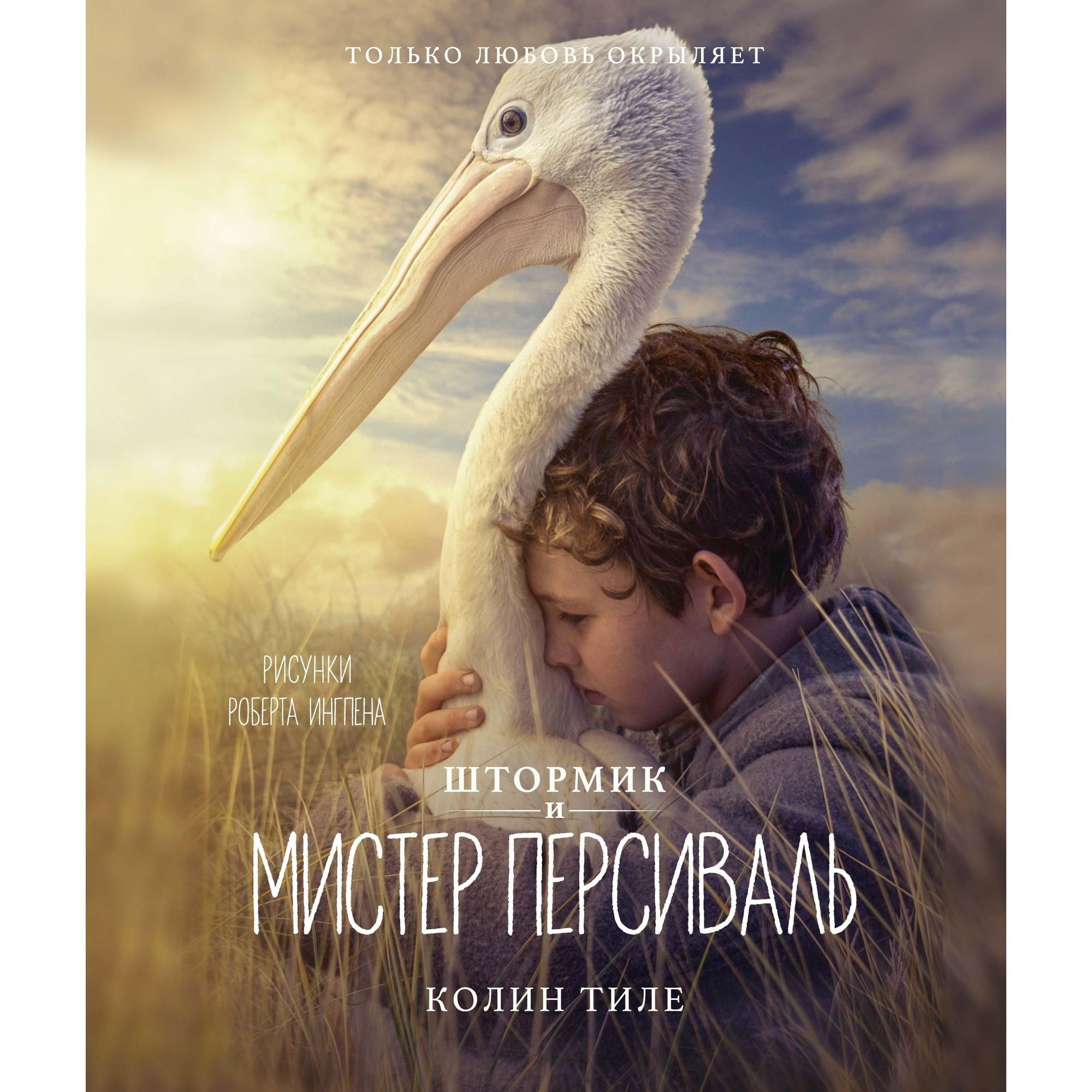 Книга МАХАОН Штормик и мистер Персиваль. Книги с иллюстрациями Роберта Ингпена - фото 1