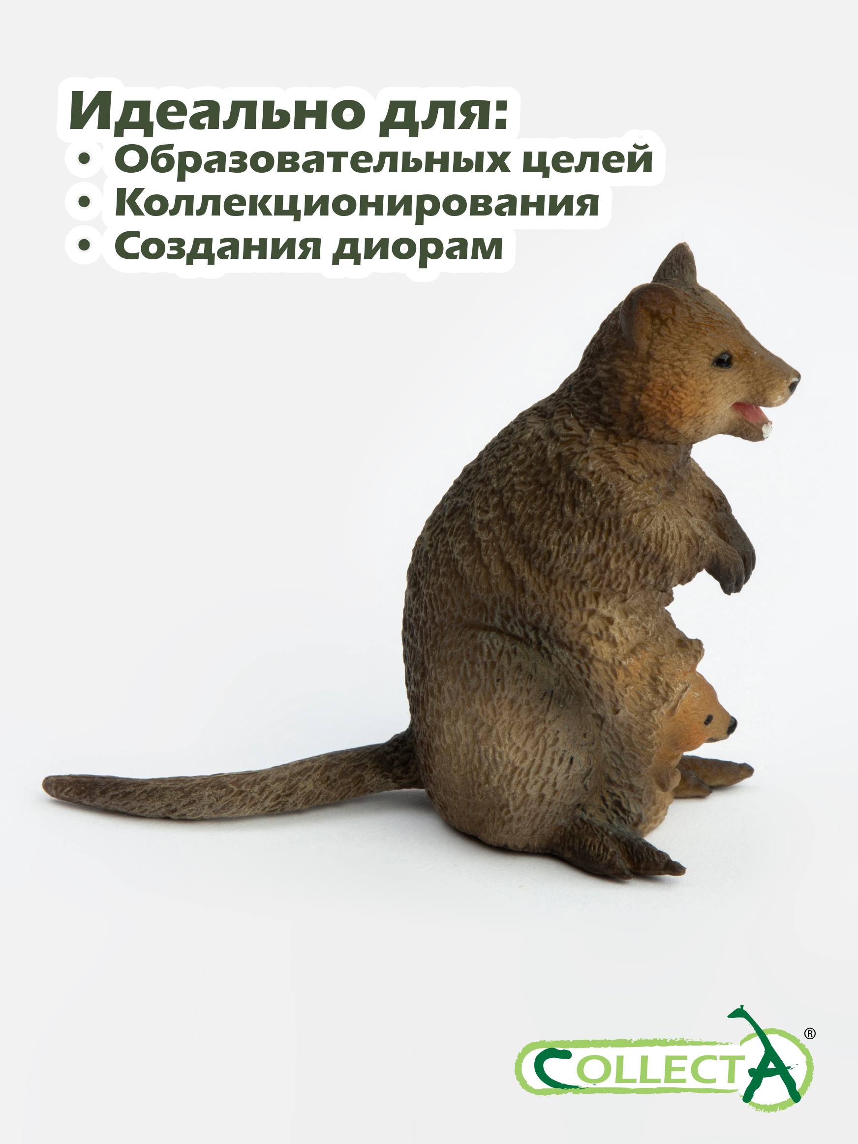 Фигурка Collecta Квокка с детёнышем 6 см - фото 6