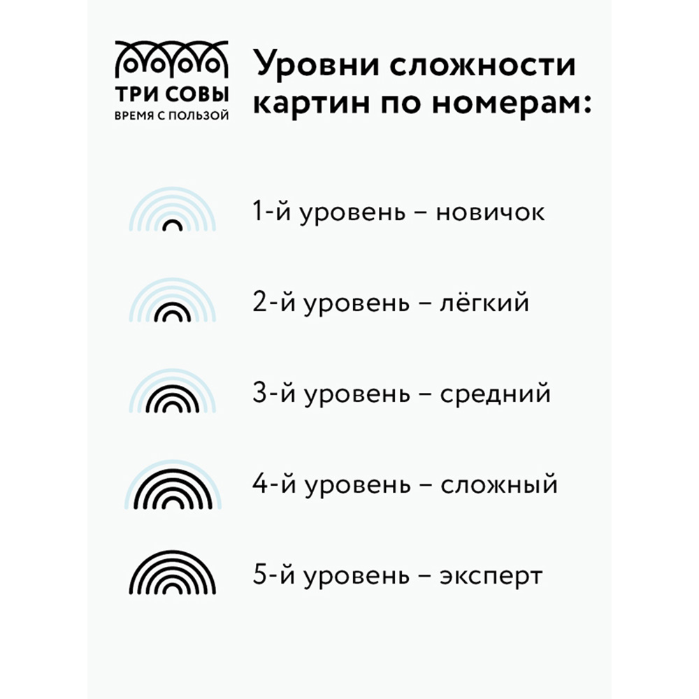 Картина по номерам ТРИ СОВЫ Кошачий взгляд - фото 5