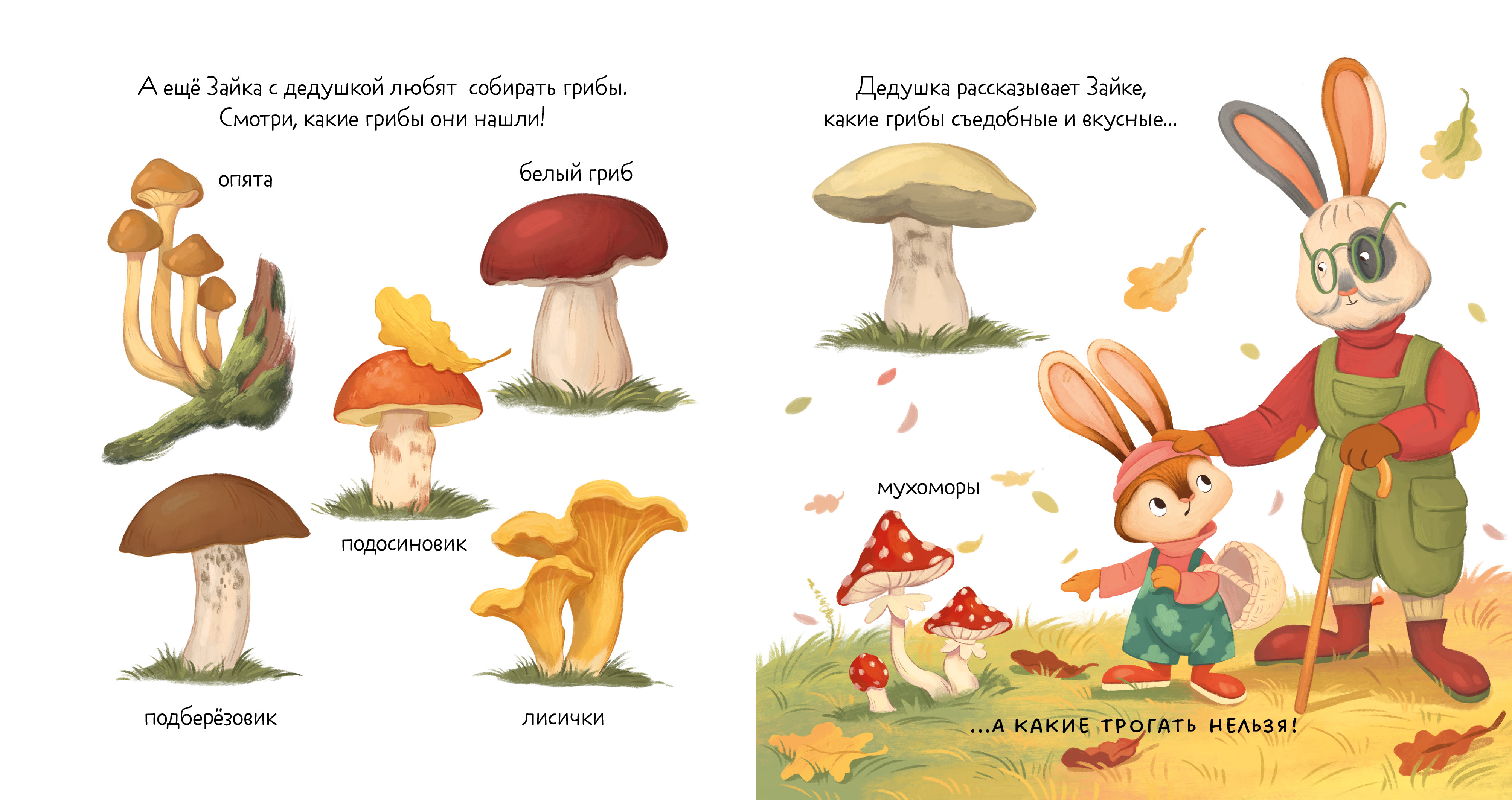 Зайка и золотая осень Clever Книжки-картинки - фото 2