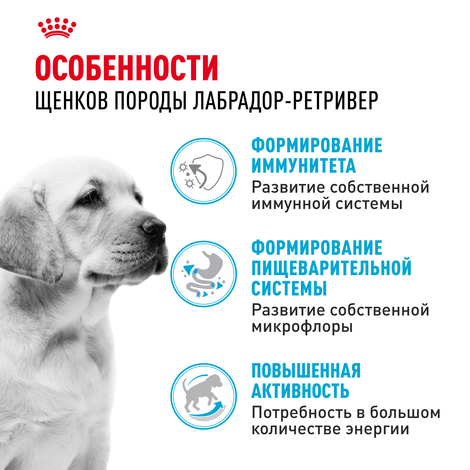 Корм для щенков ROYAL CANIN Labrador Retriever Puppy породы лабрадор ретривер 12кг - фото 2