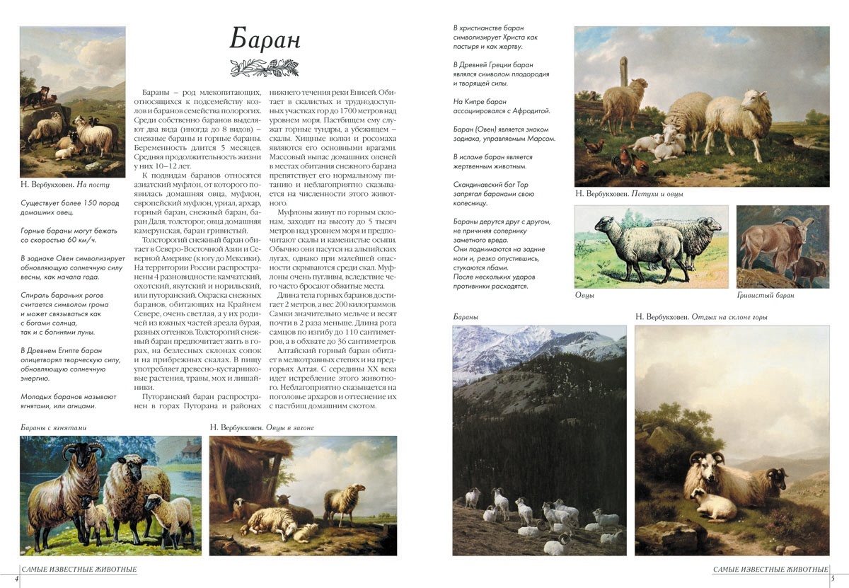 Книга Белый город Самые известные животные - фото 2