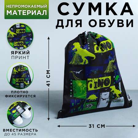 Мешок для обуви ArtFox STUDY Динотайм
