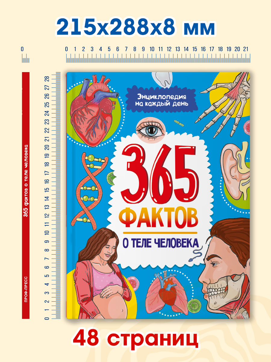 Энциклопедия детская Проф-Пресс 365 фактов о теле человека - фото 9