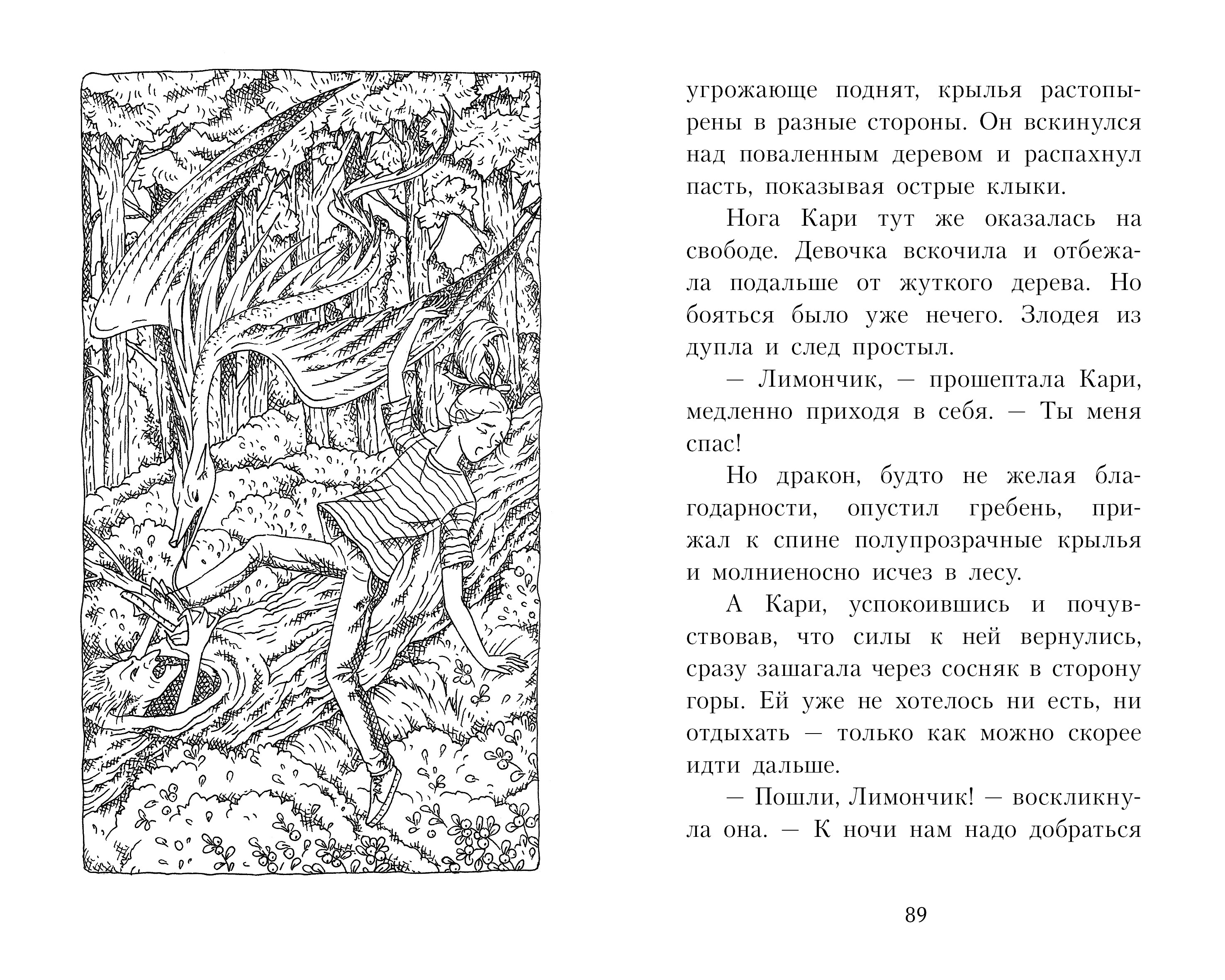 Книга Качели Кари и ледяной дракон - фото 9