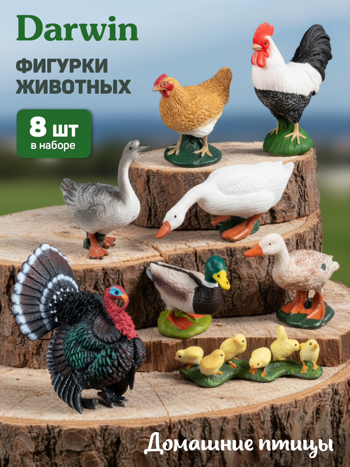 Игровой набор DARWIN Домашние птицы 8 шт - фото 1