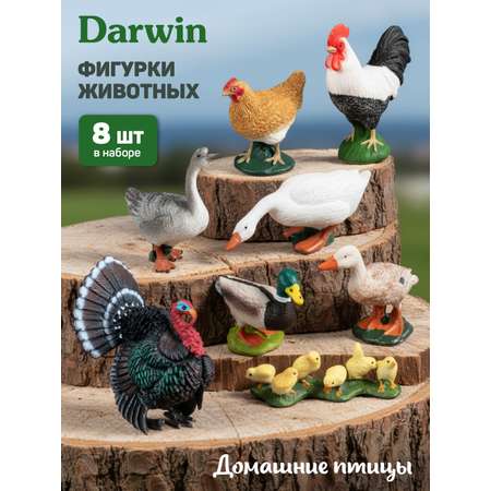 Игровой набор DARWIN Домашние птицы 8 шт